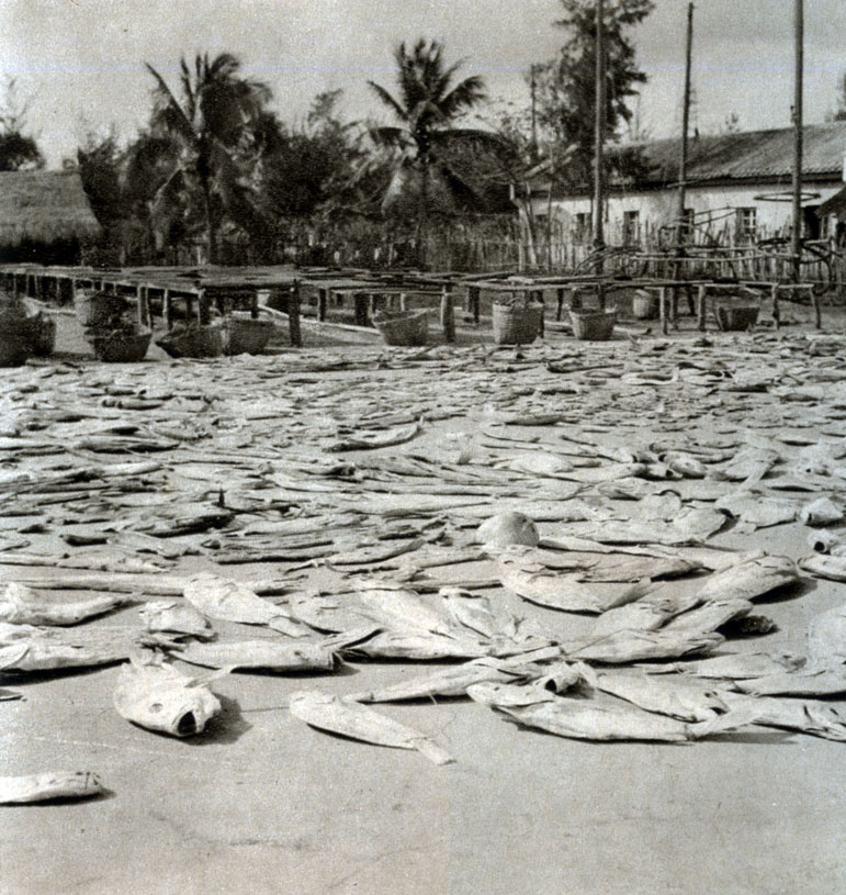 715. Сушка рыбы в рыбацком поселке на острове Хайнань