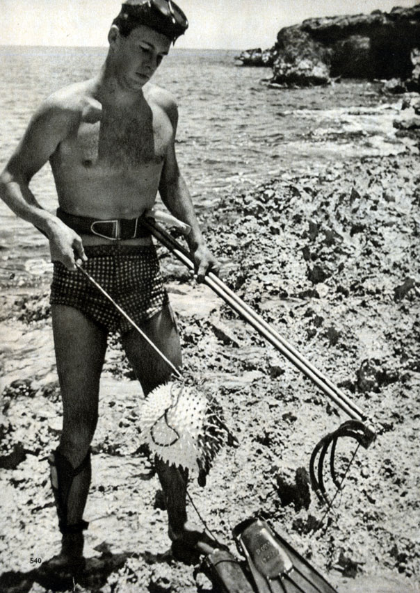 816. Аквалангист с пойманной еж-рыбой на гарпуне у побережья Кубы
